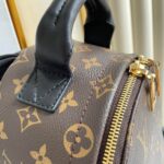 Louis Vuitton PALM SPRINGS PM - 图片 6
