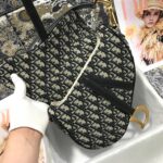 Dior SADDLE BAG - 图片 6