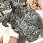 Dior SADDLE BAG - 图片 6