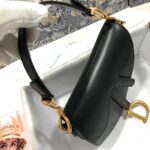 Dior MINI SADDLE BAG - 图片 6