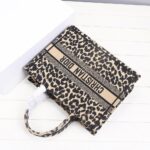 SMALL DIOR BOOK TOTE - 图片 6