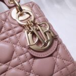 MINI LADY DIOR BAG - 图片 6