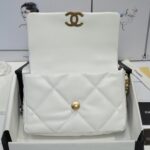 CHANEL 19 HANDBAG - 图片 6