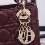 Mini Lady Dior Bag - 图片 6