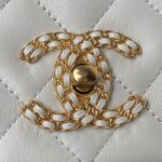 CHANEL FLAP BAG - 图片 6