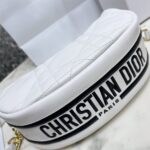 SMALL DIOR VIBE HOBO BAG - 图片 6