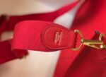 Replica Hermes Evelyne III 29 bag Designer Hermes Shoulder Bag 203869 Red - 图片 2