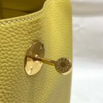 Replica Hermes H073428 Lindy Bag 26 30 H231955 - 图片 4