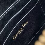 Dior Saddle Rodeo Pouch - 图片 7