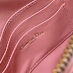 Dior Saddle Rodeo Pouch - 图片 7