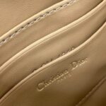Dior Saddle Rodeo Pouch - 图片 7