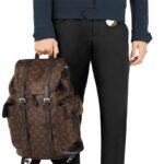 LV Christopher PM Backpack - 图片 7