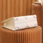 Louis Vuitton ONTHEGO PM - 图片 7