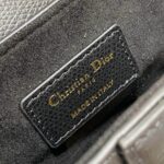 DIOR Mini Saddle Bag with Strap - 图片 7