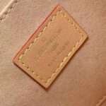 Louis Vuitton DAUPHINE mini handbag - 图片 7