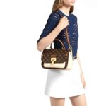 LV Vaugirard Handbag - 图片 7