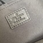Louis Vuitton PALM SPRINGS MM - 图片 7