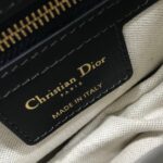 Dior SADDLE BAG - 图片 7
