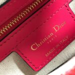 Dior SADDLE BAG - 图片 7
