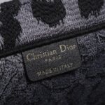 LARGE DIOR BOOK TOTE - 图片 7
