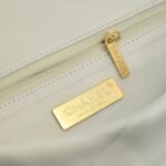 CHANEL 19 HANDBAG - 图片 7