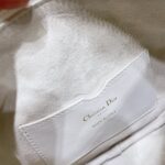 SMALL DIOR VIBE HOBO BAG - 图片 7