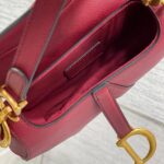 DIOR Mini Saddle Bag with Strap - 图片 8
