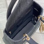 Dior Medium Lady D-Lite Bag - 图片 8