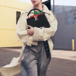 Louis Vuitton CAPUCINES BB BAG - 图片 8
