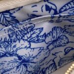 LV Multi Pochette Accessoires - 图片 8
