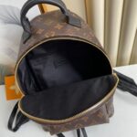 Louis Vuitton PALM SPRINGS PM - 图片 8