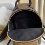Louis Vuitton PALM SPRINGS PM - 图片 8