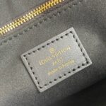 Louis Vuitton VAVIN PM - 图片 8