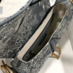 Dior SADDLE BAG - 图片 8