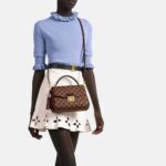 Louis Vuitton CROISETTE - 图片 8