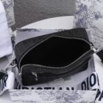 DIOR SAFARI MESSENGER BAG - 图片 8