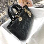 LADY D-JOY BAG - 图片 8