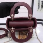 Mini Lady Dior Bag - 图片 8