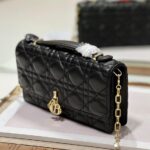 MISS DIOR MINI BAG - 图片 6