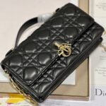 MISS DIOR MINI BAG - 图片 5