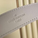 LV CarryAll PM - 图片 9
