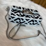 FENDI 2023 latest BAGUETTE bag with Chain strap F2029 Size:19-5-15CM - 图片 7