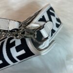 FENDI 2023 latest BAGUETTE bag with Chain strap F2029 Size:19-5-15CM - 图片 8