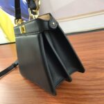 FENDI PeekaboolseeuPetite 0778 Black size: 20*15.5*11CM - 图片 7