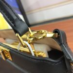 FENDI PeekaboolseeuPetite 0778 Black size: 20*15.5*11CM - 图片 5