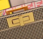 FENDI Iseeu Clip bag size:33* 24.5cm/ 24 *20cm - 图片 5