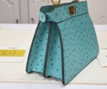 FENDI Peekaboo Light Green 23ss 335 Size: 20*15cm - 图片 9
